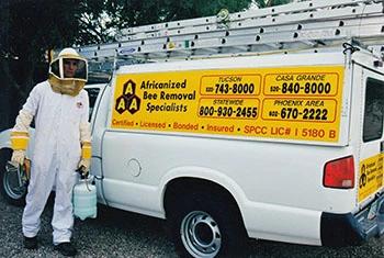 Chandler bee removal service truck and employee